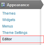 Wordpres Appearance Editor