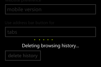 Delete IE browsing history