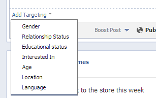 facebook page targeting options