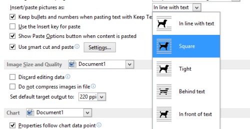 word 2013 paste insert picture options