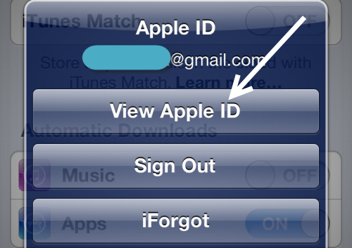 view Apple ID information