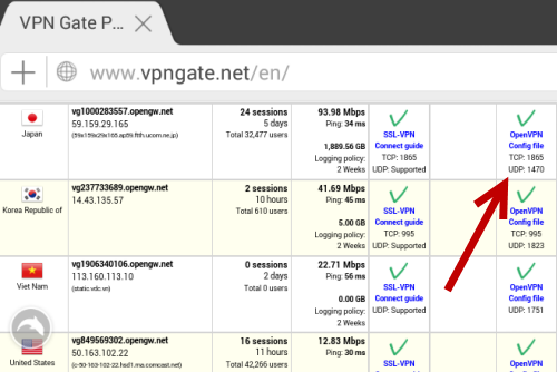 download OpenVPN config file