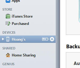 iTunes sync