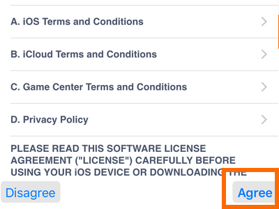 iPhone Settings - iCloud - Create a New Apple ID - Terms and conditions - Agree