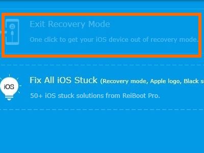 exit-recovery-mode
