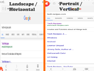 Google Search Results for Portrait and Landscape