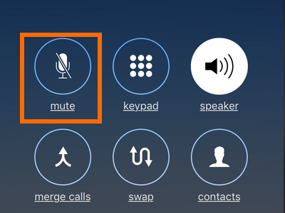 iPhone Conference Call Mute Button