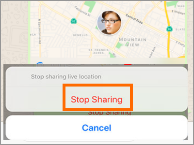 Whatsapp Live Location Stop Sharing Confirm