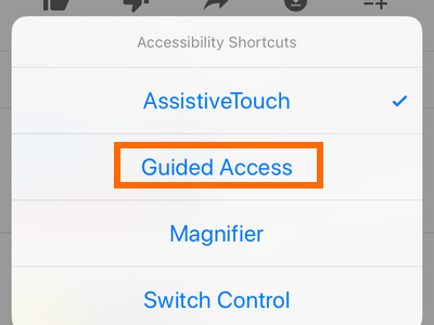 iPhone Guided Access option