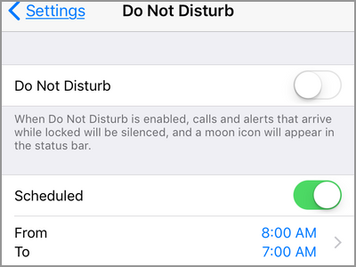 iPhone Settings Do Not Disturb Enabled