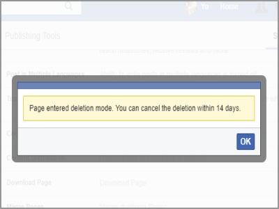 Facebook Page Deletion Success