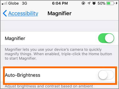 iPhone Settings Accessibility Magnifier Auto Brightness