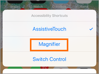 iPhone Settings Magnifier