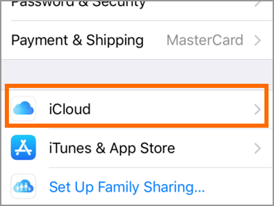 iPhone Settings iCloud
