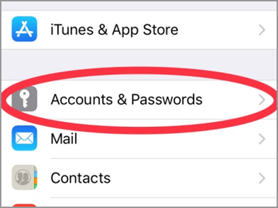 iPhone Settings Accounts and password