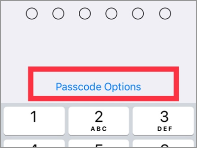 iPhone Settings Touch ID & Passcode Change Passcode Options