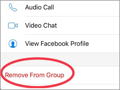 Facebook Messenger Group Chat Members Select Remove From Group