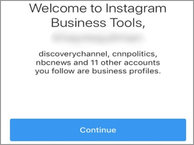 Instagram Account Settings Switch to Business Profile Continue