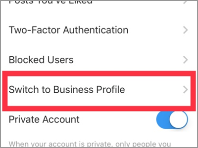 Instagram Account Settings Switch to Business Profile