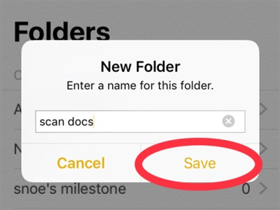 iPhone Home Notes New Folder Name Save