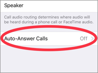 iPhone Settings Call Audio Routing Auto Answer Calls