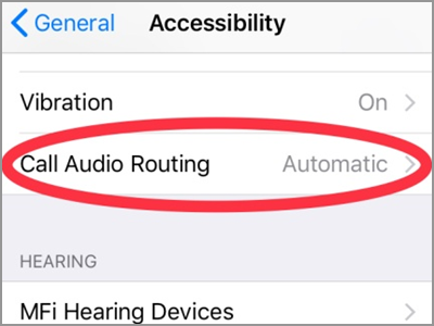 iPhone Settings Call Audio Routing
