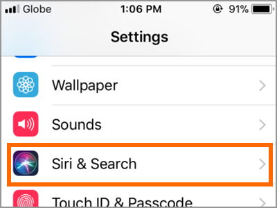 iPhone Settings Siri and Search