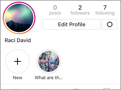 Instragram Profile with Highlights