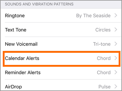 iPhone Settings Sounds Calendar Alerts
