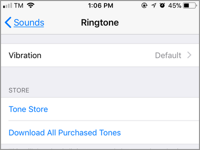 iPhone Settings Sounds Ringtone MEnu