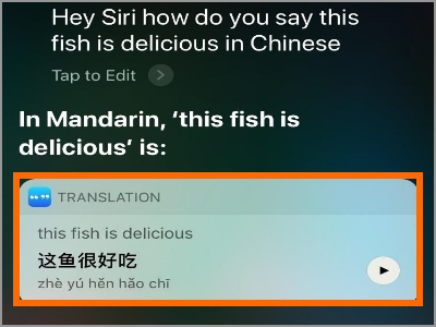 Siri Translate Translation