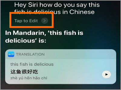 Siri Translate Type to Edit