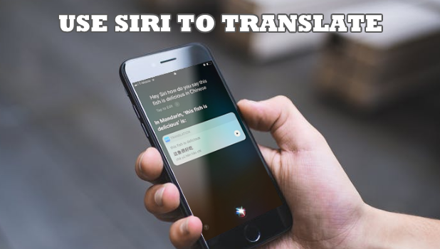 Use Siri to Translate