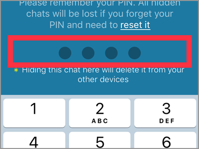 Viber User Chat Info and Settings Hide this Chat Set PIN Enter PIN