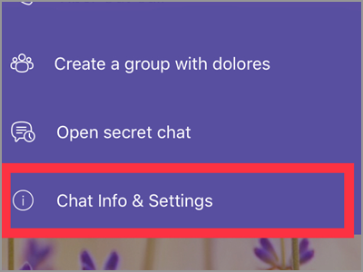 Viber User Chat Info and Settings