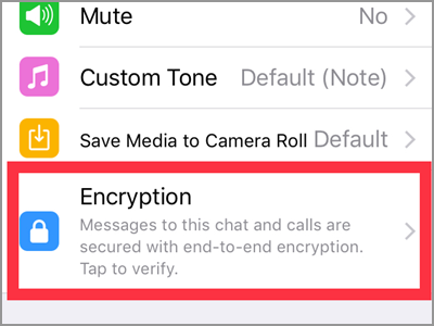 WhatsApp Chats Choose Chat More Contact info encryption