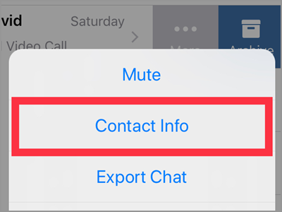 WhatsApp Chats Choose Chat More Contact info