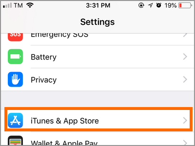 iPhone Settings Itunes and App Store Option