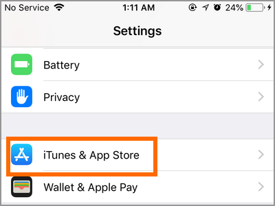 iPhone Settings iTunes and App Store