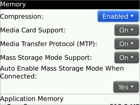 bb mass storage settings