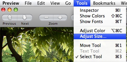 select adjust size