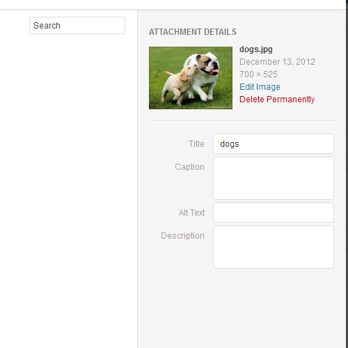 Wordpress 3.5 editing image meta data 2