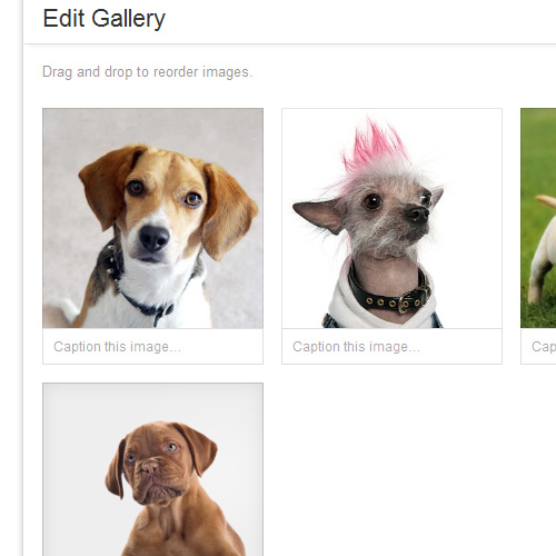 Wordpress 3.5 editing a gallery