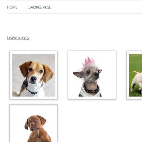 Wordpress 3.5 Gallery in a post