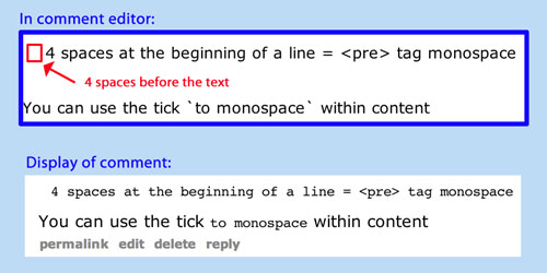 4 spaces or use the tick mark to monospace