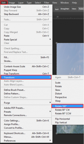 edit > transform > 180 degrees