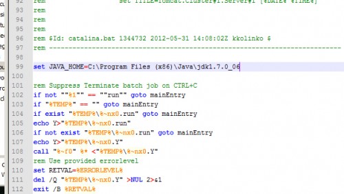 Tomcat catalina.bat set enviroment