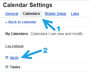 Google Calendar Settings