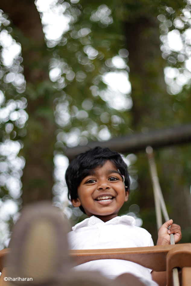 Canon 50mm F1.4 Shallow Depth of Field Photo