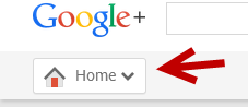 Google Plus Home